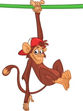 Cartoon monkey chimpanzee handing upside down on the tree branch or liana. Vector illustration of happy monkey character
