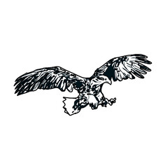 Black and white sketch of an eagle with transparent background