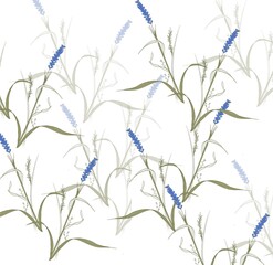 lavender illustration pattern on white background floral flowers, spring field 