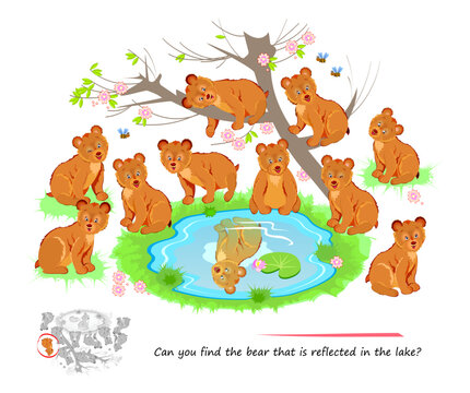 Logic puzzle game for children and adults. Can you find the bear that is reflected in the lake? Page for brain teaser book. Developing kids spatial thinking. Task for attentiveness. Vector image.