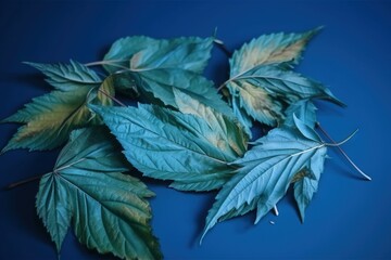  a group of green leaves laying on top of a blue table top next to a blue wall and a blue background with a white border.  generative ai