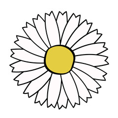 Hand-drawn flowers.Doodle style, sketch, simple botanical line, drawing with plant floral elements