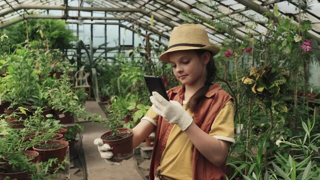 Caucasian girl spending time in greenhouse taking pictures of plants in pots on smartphone for website