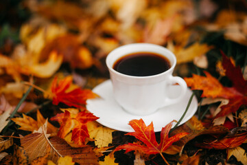 Cup of coffee on autumn leaves
