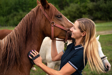 Young woman cleaning brown horse with brush, her head next to animal