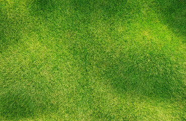 Green grass texture. Stadium grass. Green grass texture background Top view of bright grass garden...