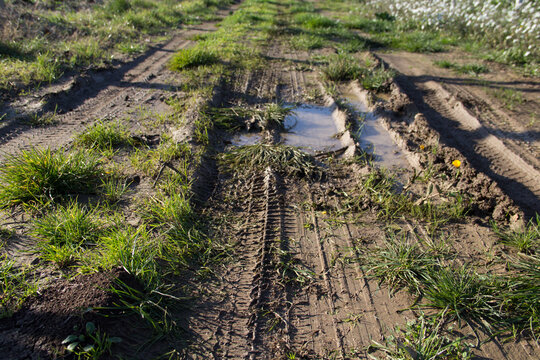 Image of tire tracks on mud on a country road after a rainy day.
