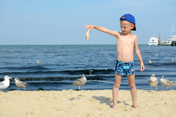 boy feeding seagulls on the sandy seashore