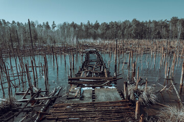 an old dilapidated wooden bridge in a swamp surrounded by a lot of dead trees standing in the water