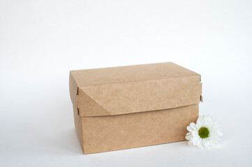 Kraft box mockup, lunchbox, eco friendly packaging with place for text, isolated food box