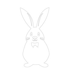 white rabbit isolated on white