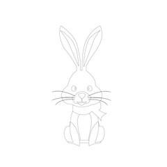 Fototapeta na wymiar rabbit with a carrot