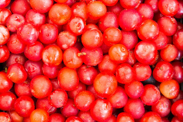 background brightly red cherry with drops
