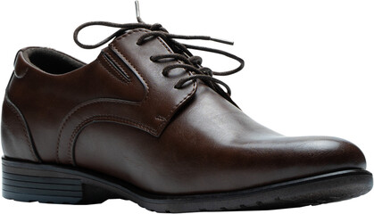 Single dark brown laced up, men's dress shoes