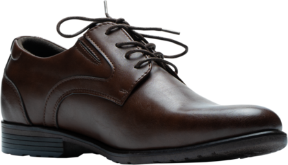 Single dark brown laced up, men's dress shoes
