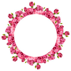Wreath of pink carnation flowers. Round template for text. Watercolor illustration on isolated white background. For the design of polygraphy, textiles.