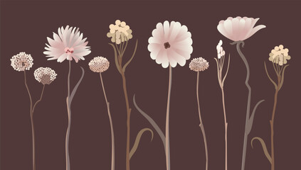 set of watercolor pink nude wildflowers, gerbera, greeting card element, wallpaper, poster on dark background