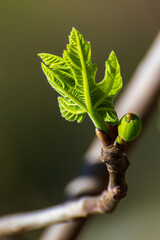 Spring is when all restarts again