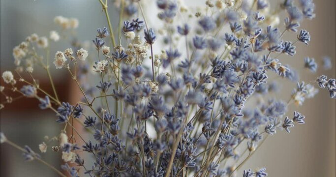 A beautiful and delicate lavender bouquet is in a vase on the table. Ekiban composition of dry flowers.