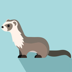 Ferret Vector Illustration