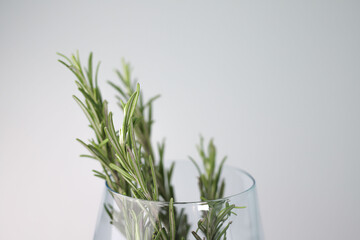 fragrant medicinal evergreen rosemary on a light background with a transparent glass and a jar of...