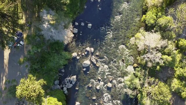 Aerial view of a lively river flowing through an Araucaria tree forest at the Lanin volcano in the border region between Argentina and Chile.