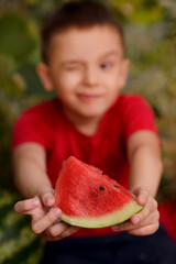 Toddler boy holding triangle slice of watermelon in arms, focus on watermelon. Smiling child with funny face giving piece of watermelon. Sharing, fun and summer picnic concept