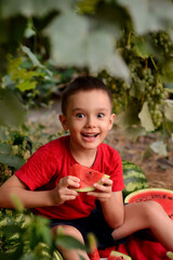 Toddler boy in red shirt with funny face grimace holding triangle slice of watermelon and ready to bite it. Child having fun on summer picnic outdoors. Green leaves in background