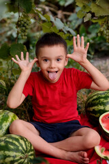 Fototapeta premium Toddler boy with funny face grimace sitting outdoors. Child in red shirt having fun on summer picnic.