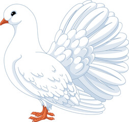 White Dove Cartoon Illustration