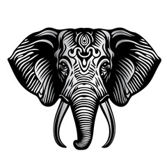 Vector elephant isolated on white background