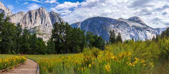 Panorama of Sentinel meadows and rock wall with Yosemite Falls in Yosemite National park during the...