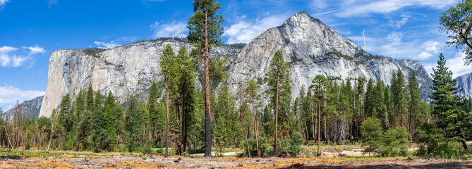 El capitan granite rock seen from the Yosemite Valley during the summer, Yosemite National Park, USA