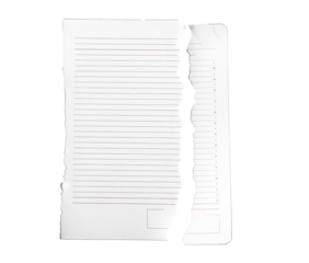 Torn paper sheet from planner, notepad page split ripped into two pieces isolated on white background