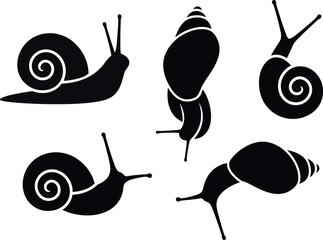 Grape snail logo. Isolated grape snail on white background © oleg7799