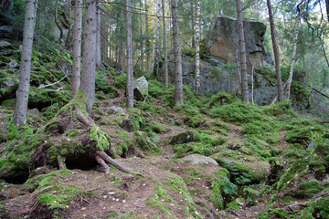 Dovbush Rocks in the forest near Yaremche city, Ukraine