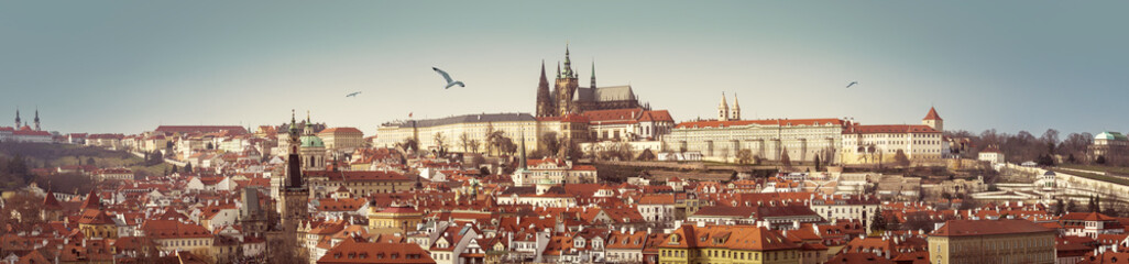 Obraz premium Panorama of Prague Castle with Gothic Cathedral of st.Vitus on skyline. Wide city landscape of Praga, view on Petrin Hill, Hradcany area and buildings with red tiles roofs. Banner for travel agency.