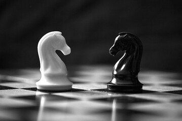 a white chess knight opposite a black chess knight on the board
