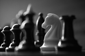 chess piece white horse among black chess pieces on the board