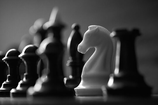 chess piece white horse among black chess pieces on the board