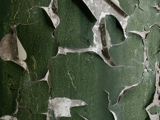 Green peeling paint on the wall. Old concrete wall with cracked flaking paint. Weathered rough painted surface with patterns of cracks and peeling. Grunge texture for background and design.