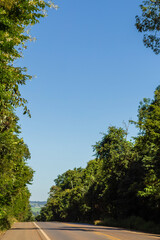 Um belo e arborizado trecho da Rodovia GO-156 em Goiás, em um dia claro e ensolarado.