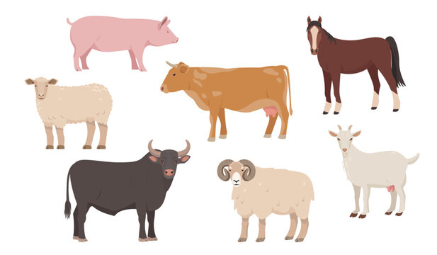 Set of farm animals in different poses and colors. Cow, bull, sheep, pig, ram horse and goat. Vector flat or cartoon illustration. Farm animal icons isolated on white background.