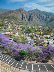 Valle y jacarandas