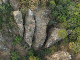 Valle Tepoztl&aacute;n