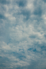white clouds against summer blue sky with single eagle flying
