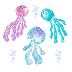 A set of jellyfish on a white background. Jellyfish of delicate colors.