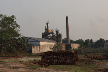 A rice field with a factory in the background , Rice planting with paddy factory