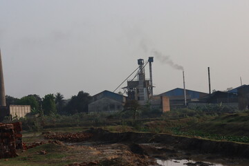 A rice field with a factory in the background , Rice planting with paddy factory