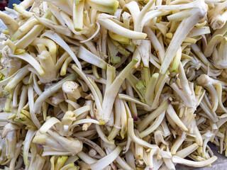 The rababas can be eaten raw